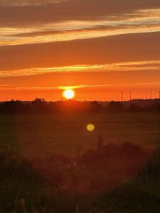 ferienhof ohlenbusch worpswede landschaft 149