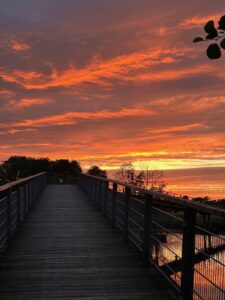 ferienhof ohlenbusch worpswede landschaft 150
