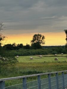 ferienhof ohlenbusch worpswede landschaft 160