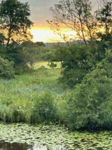 ferienhof ohlenbusch worpswede landschaft 161