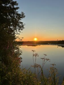 ferienhof ohlenbusch worpswede landschaft 166