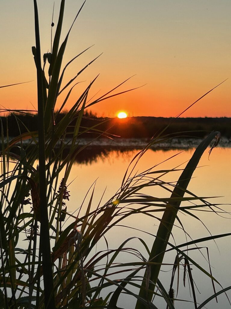 Orange leuchtender Sonnenuntergang über einem ruhigen Gewässer bei Worpswede, mit Schilf im Vordergrund und Spiegelungen auf dem Wasser