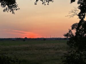 ferienhof ohlenbusch worpswede landschaft 172