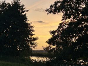 ferienhof ohlenbusch worpswede landschaft 179