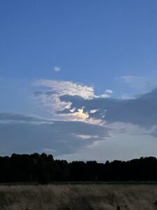 ferienhof ohlenbusch worpswede landschaft 195
