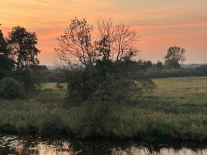 ferienhof ohlenbusch worpswede landschaft 198
