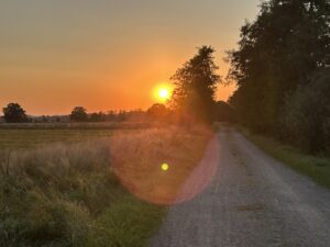 ferienhof ohlenbusch worpswede landschaft 202