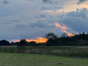 ferienhof ohlenbusch worpswede landschaft 210