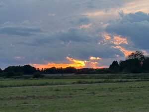 ferienhof ohlenbusch worpswede landschaft 211