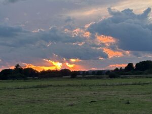 ferienhof ohlenbusch worpswede landschaft 212