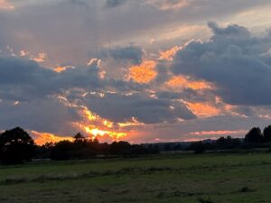 ferienhof ohlenbusch worpswede landschaft 213
