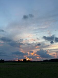 ferienhof ohlenbusch worpswede landschaft 214