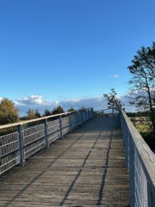 ferienhof ohlenbusch worpswede landschaft 219