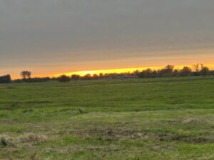ferienhof ohlenbusch worpswede landschaft 222