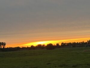 ferienhof ohlenbusch worpswede landschaft 223
