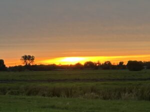ferienhof ohlenbusch worpswede landschaft 224