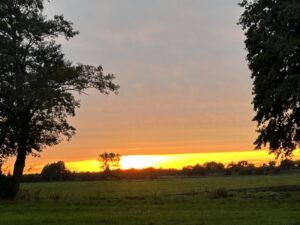 ferienhof ohlenbusch worpswede landschaft 225