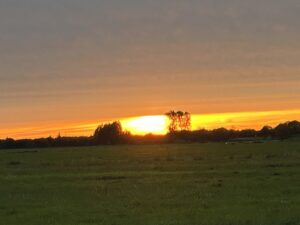 ferienhof ohlenbusch worpswede landschaft 226