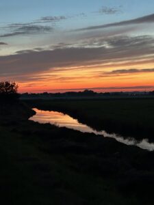 ferienhof ohlenbusch worpswede landschaft 230