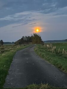 ferienhof ohlenbusch worpswede landschaft 231