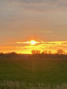 ferienhof ohlenbusch worpswede landschaft 237