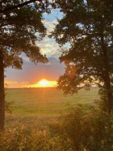 ferienhof ohlenbusch worpswede landschaft 243