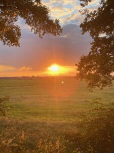 ferienhof ohlenbusch worpswede landschaft 244