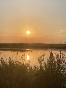 ferienhof ohlenbusch worpswede landschaft 256