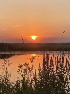 ferienhof ohlenbusch worpswede landschaft 257