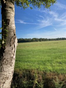 ferienhof ohlenbusch worpswede landschaft 259