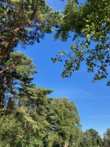ferienhof ohlenbusch worpswede landschaft 260
