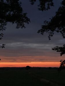 ferienhof ohlenbusch worpswede landschaft 261