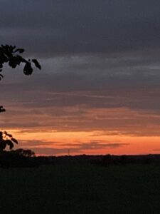 ferienhof ohlenbusch worpswede landschaft 262
