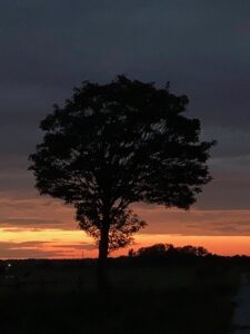 ferienhof ohlenbusch worpswede landschaft 263