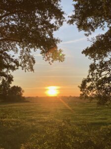 ferienhof ohlenbusch worpswede landschaft 264