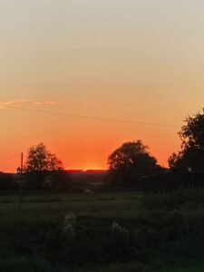 ferienhof ohlenbusch worpswede landschaft 265