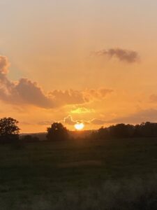 ferienhof ohlenbusch worpswede landschaft 273