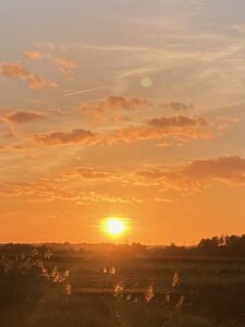 ferienhof ohlenbusch worpswede landschaft 275