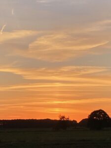 ferienhof ohlenbusch worpswede landschaft 277