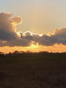ferienhof ohlenbusch worpswede landschaft 280