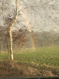 ferienhof ohlenbusch worpswede landschaft 281