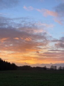ferienhof ohlenbusch worpswede landschaft 282