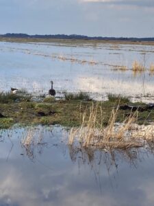 ferienhof ohlenbusch worpswede landschaft 285