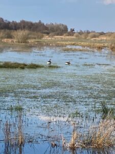 ferienhof ohlenbusch worpswede landschaft 286