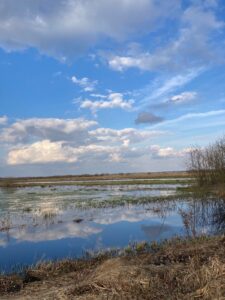 ferienhof ohlenbusch worpswede landschaft 287