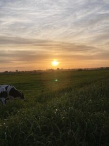 ferienhof ohlenbusch worpswede landschaft 293
