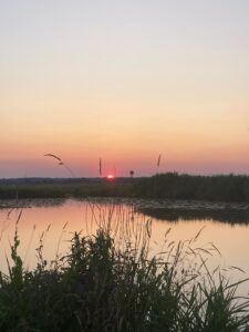 ferienhof ohlenbusch worpswede landschaft 299