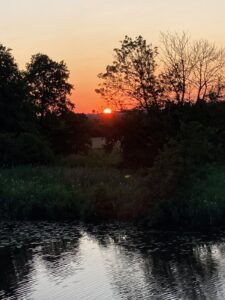 ferienhof ohlenbusch worpswede landschaft 300