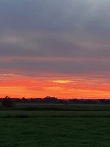 ferienhof ohlenbusch worpswede landschaft 306