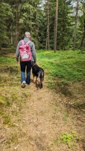 ferienhof-ohlenbusch-worpswede-urlaub-mit-hund